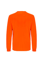 Hi Vis Long Sleeve Tee (Mens)