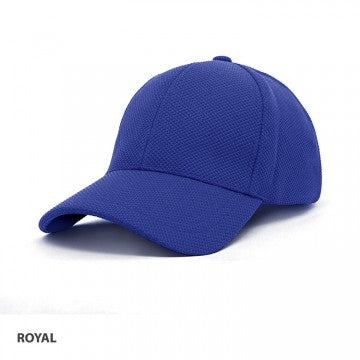 PQ Mesh Cap