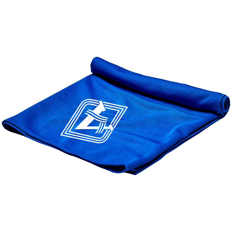 Cooling Towel