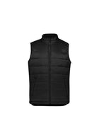 Alpine Eco Puffer Vest (Mens)