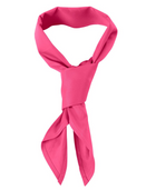 ACTIV EMBROIDERY DESIGNS. ACCESSORIES. CHEF'S SCARF.