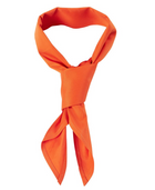 ACTIV EMBROIDERY DESIGNS. ACCESSORIES. CHEF'S SCARF.