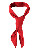 ACTIV EMBROIDERY DESIGNS. ACCESSORIES. CHEF'S SCARF.