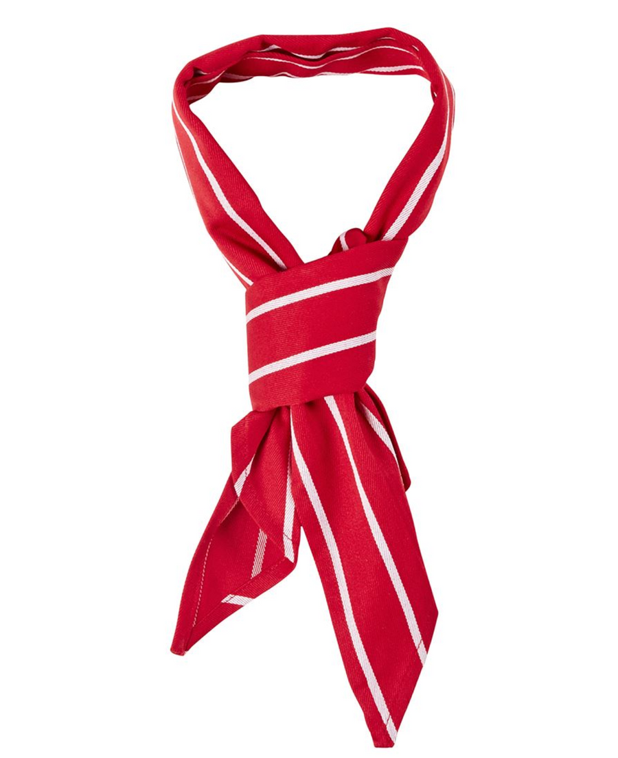 ACTIV EMBROIDERY DESIGNS. ACCESSORIES. CHEF'S SCARF.