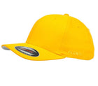 Flexfit Perma Curve Cap