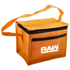 Insulated Lunch Pack